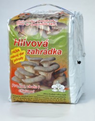 Hlívová zahrádka6731efc1620b4