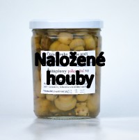 Naložené houby